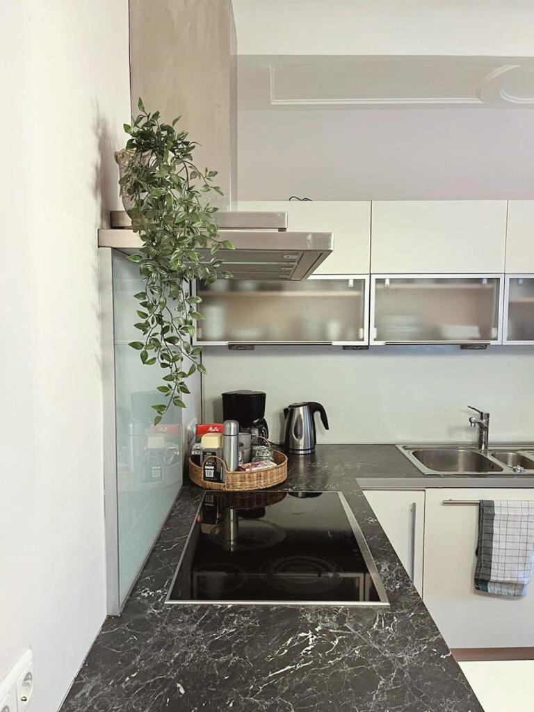 Taferne In Koestendorf - Ferienwohnung Monteurzimmer Neumarkt am Wallersee Bagian luar foto